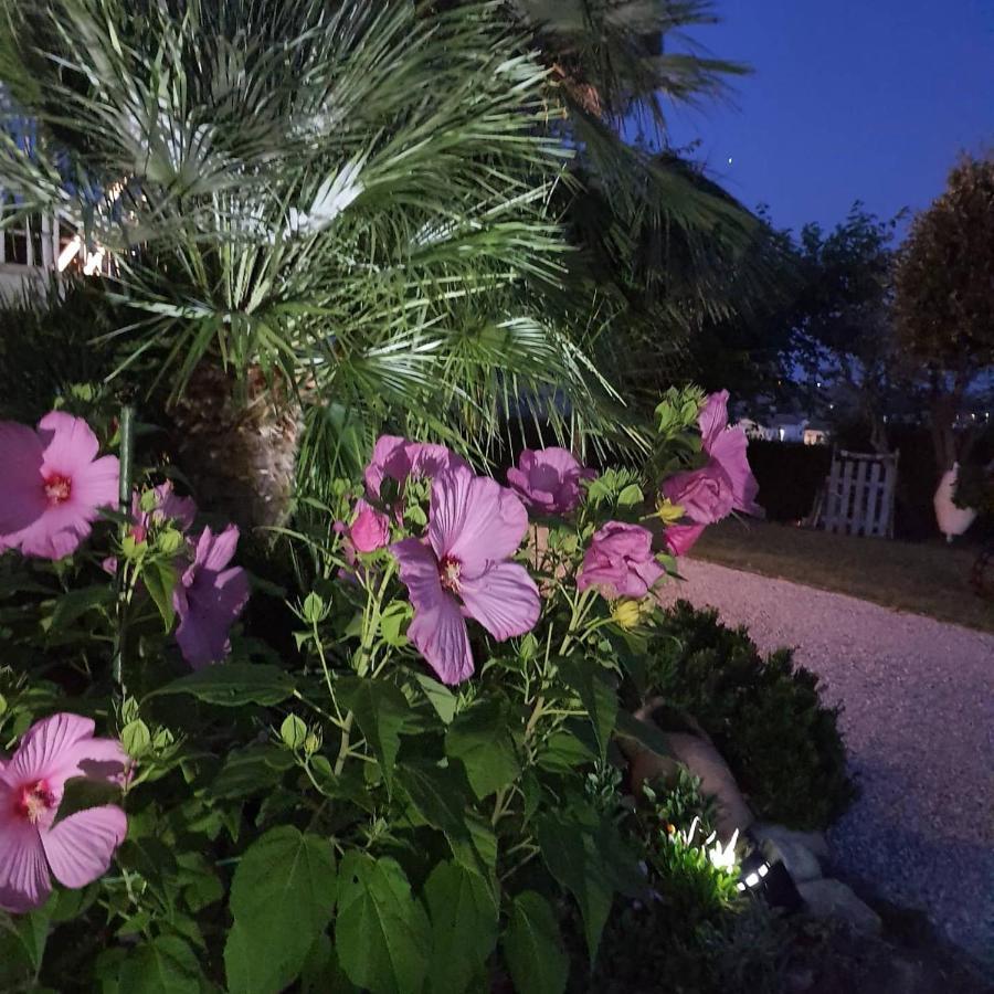 Bnb Fano Collina. La Pace Di Una Vacanza Piagge エクステリア 写真