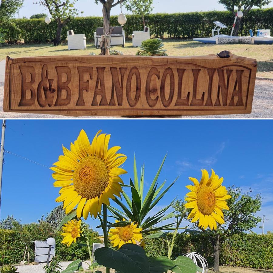 Bnb Fano Collina. La Pace Di Una Vacanza Piagge エクステリア 写真