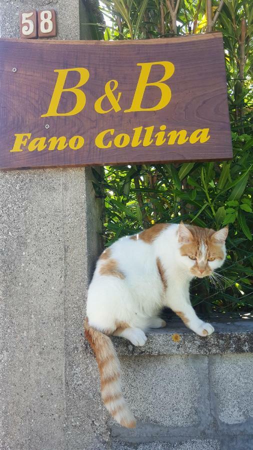 Bnb Fano Collina. La Pace Di Una Vacanza Piagge エクステリア 写真