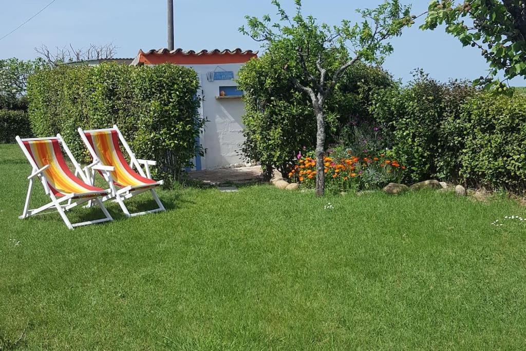 Bnb Fano Collina. La Pace Di Una Vacanza Piagge エクステリア 写真