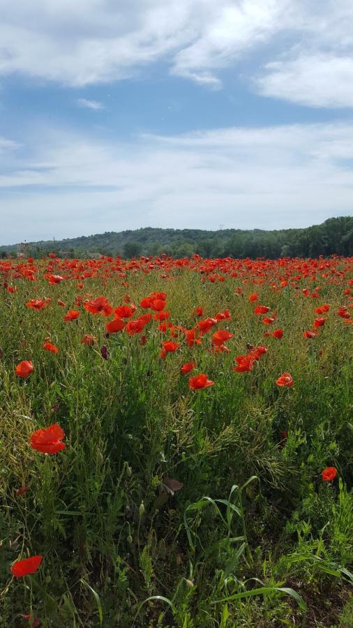 Bnb Fano Collina. La Pace Di Una Vacanza Piagge エクステリア 写真