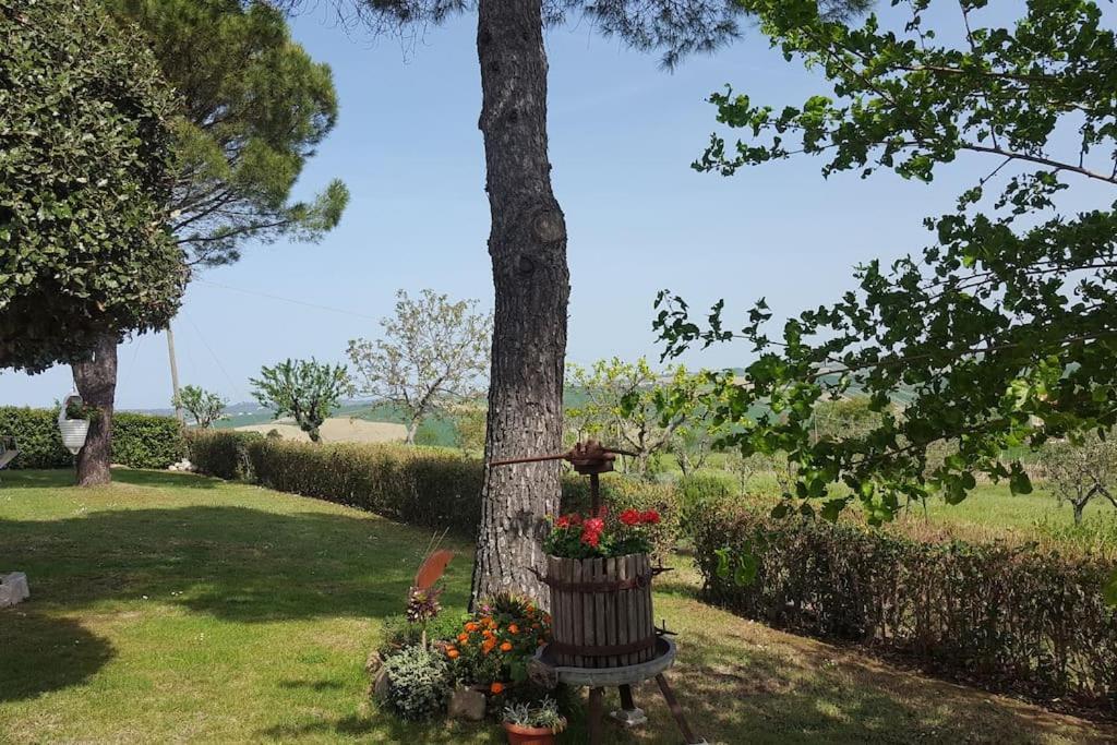 Bnb Fano Collina. La Pace Di Una Vacanza Piagge エクステリア 写真
