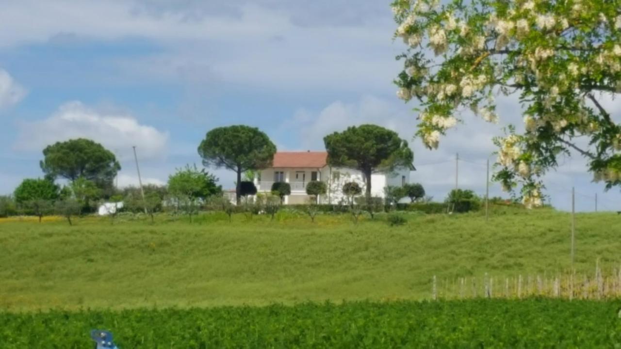 Bnb Fano Collina. La Pace Di Una Vacanza Piagge エクステリア 写真