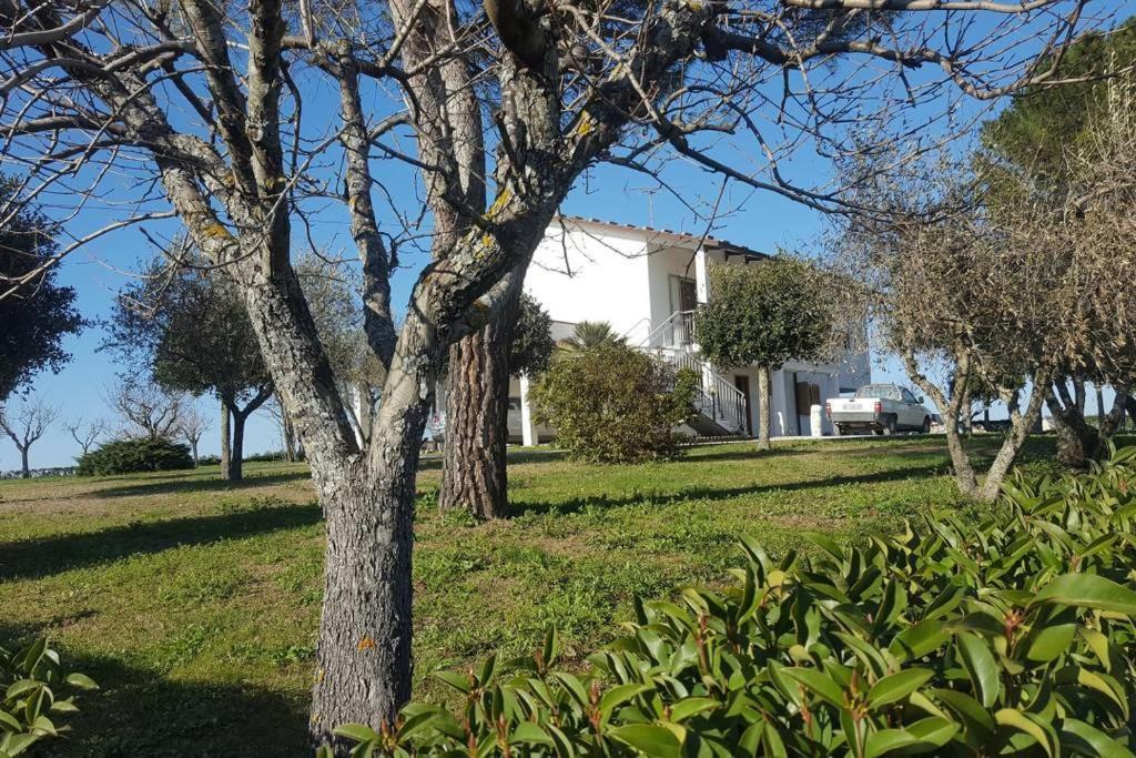Bnb Fano Collina. La Pace Di Una Vacanza Piagge エクステリア 写真