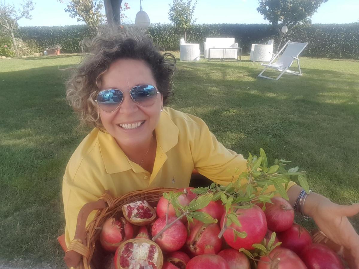 Bnb Fano Collina. La Pace Di Una Vacanza Piagge エクステリア 写真